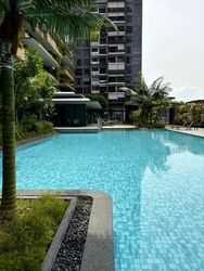 Midwood (D23), Condominium #580689291